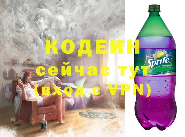 молекула духа Богородицк