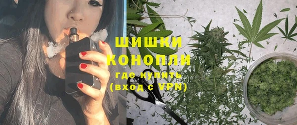 молекула духа Богородицк