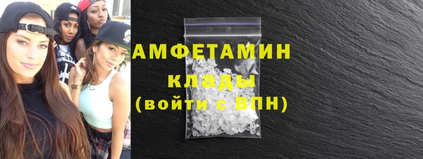 молекула духа Богородицк