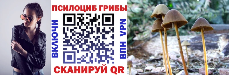 Галлюциногенные грибы Psilocybine cubensis  купить наркотик  Костерёво 